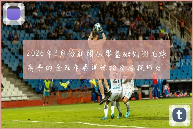 2026年3月份新闻从零基础到羽毛球高手的全面节奏训练指南与技巧分享
